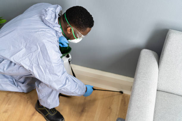 Best Pest Control for Multi-Family Homes  in De Soto, MO